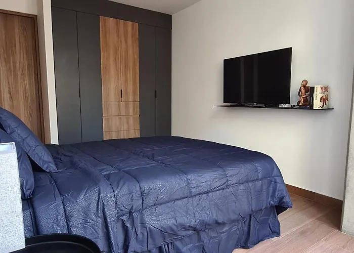 Apartment Acogedor Y Moderno Departamento *